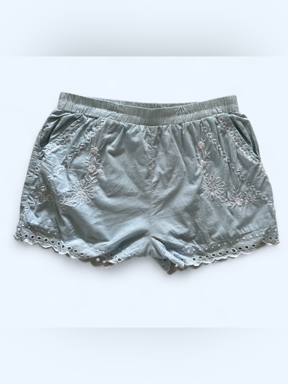 American Eagle Blue Embroidered Eyelet Shorts M Boho Cottagecore Cotton Pull-On